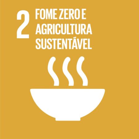 Cubo ODS 2 – Fome Zero e Agricultura Sustentável – frente