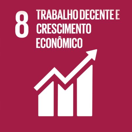 Cubo ODS 8 – Trabalho Decente e Crescimento Econômico – frente