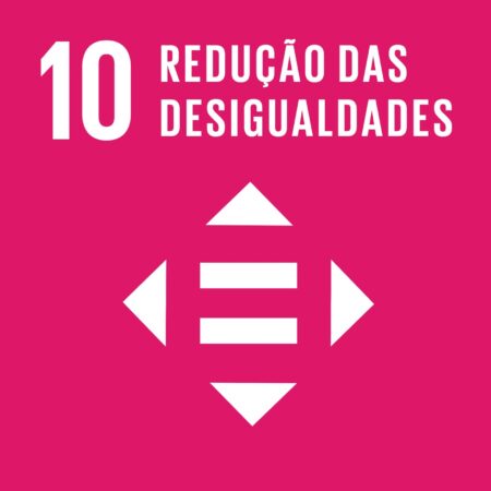 Cubo ODS 10 – Redução das Desigualdades – frente