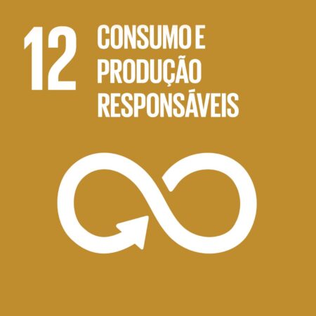 Cubo ODS 12 – Consumo e Produção Responsáveis – frente