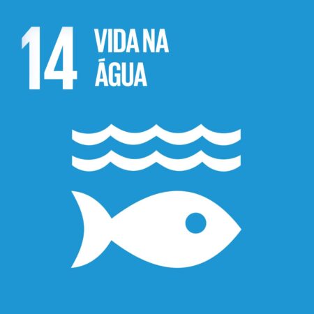 Cubo ODS 14 – Vida na Água – frente