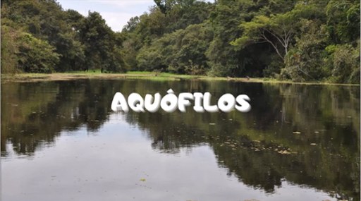 Ecossistema aquático, tema do trabalho da Aquófilos