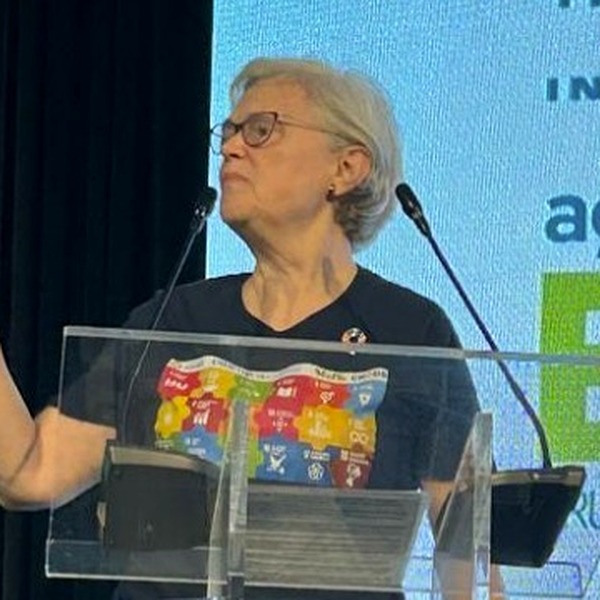 Nina Orlow em atividade de governança do Movimento Nacional ODS