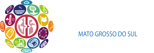 MS-horiz-fundo-color